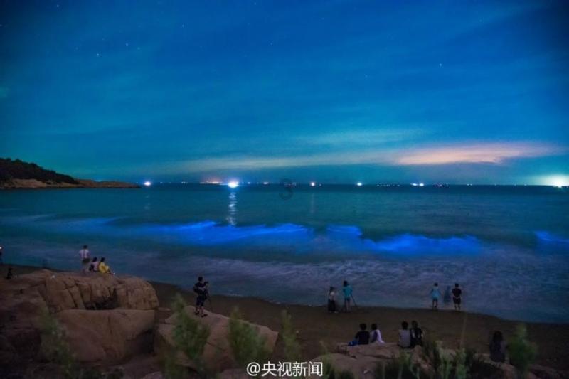 人民来论:舞动春运,“钢铁巨龙”蓄势再出发